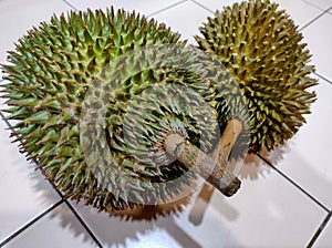 Durian - popular Southern Asia , nickname King of fruits
