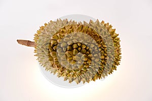 Durian is regarded as the fruit king.