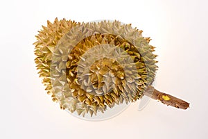 Durian is regarded as the fruit king.