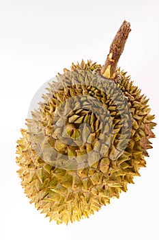 Durian is regarded as the fruit king.