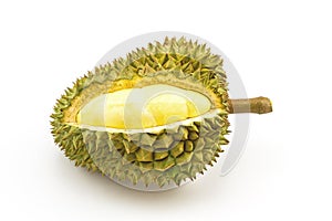 Durian ripe and part with spikes isolated on white background