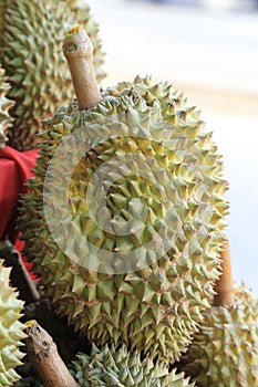 Durian sell at local farm market, King of fruits
