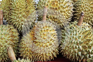 Durian sell at local farm market, King of fruits