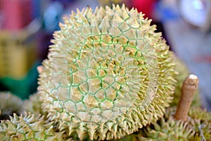 Durian selling at local market