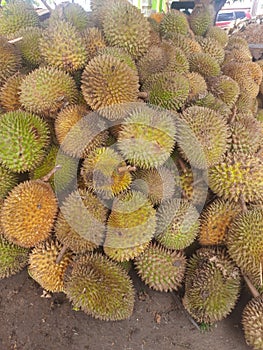 Durian is The sharp-skinned tropical fruit has a strong aroma