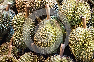 Durian in the shop is a famous fruit