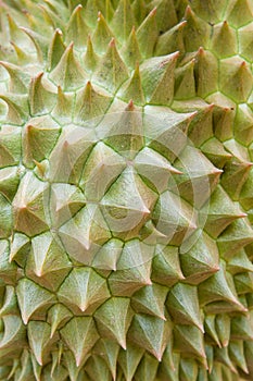 Durian texture.