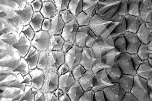 durian texture background