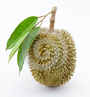 Durian Thai Fruits