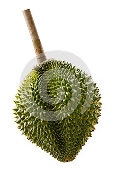 Durian , Thai King fruit