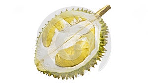 Durian Tropical fruit