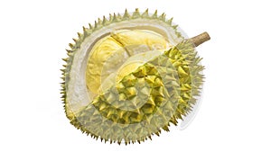 Durian Tropical fruit