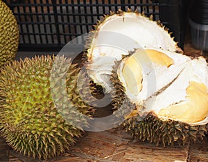 Durian (tropical fruit)