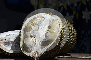 Durian Tropical Fruit cut in half wide open on dark background. portrait