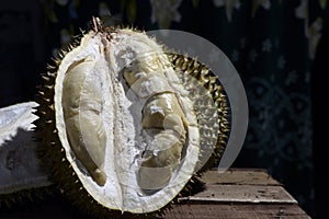 Durian Tropical Fruit cut in half wide open on dark background. portrait