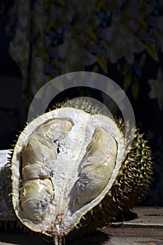 Durian Tropical Fruit cut in half wide open isolated on dark background. portrait