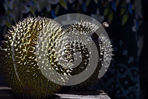 Durian Tropical Fruit Durio on dark background. landscape