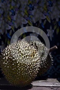Durian Tropical Fruit Durio on dark background. landscape