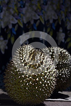 Durian Tropical Fruit Durio isolated on dark background. landscape