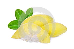 Durian tropical fruit with green leaves isolated on white