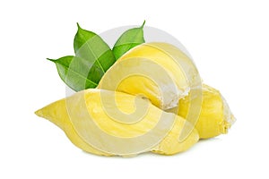Durian tropical fruit with green leaves isolated on white