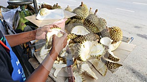 Local seller peel fresh durian and pack for sell, Thai street food