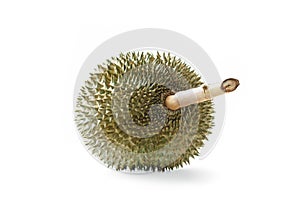 Durian tropical fruit on white background