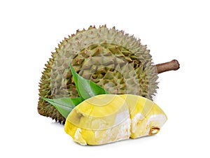 Durian tropical fruit wiht leaf isolated on white background