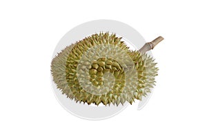 Durian with white background