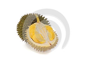 Durian with yellowish flesh on white background.