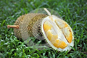 Durians