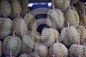 Durians for sale at wholesale market, Bangkok, Thailand.