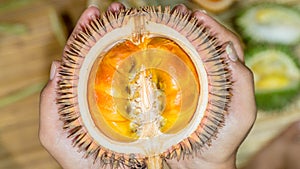 Durio conatus Mandong, new species of durians that found in Borneo, with fresh orange flesh