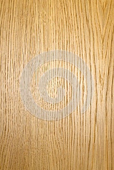 Durmast wood texture