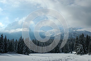 Durmitor mountain on snow photo