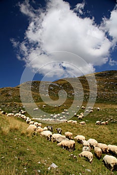 Durmitor Ring