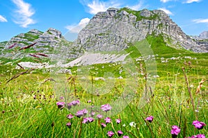 Durmitor scenic view. Montenegro