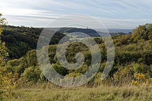 Dursley Woods and Tyndale Monument