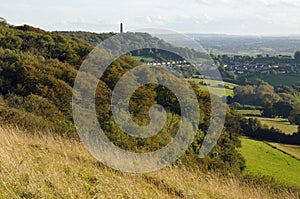 Dursley Woods and Tyndale Monument