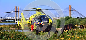 Durtch trauma helicopter