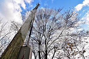 Disconnected power line and a tree with leaves shed for Fall against a blue clouded sky