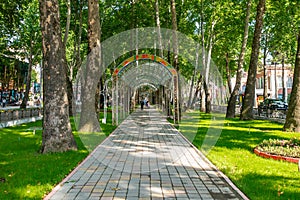 Dushanbe Rudaki Avenue 68