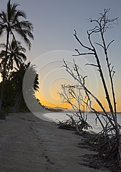 Dusk, Cardwell, Queensland