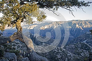 Dusk in the Copper Canyon photo