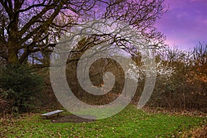 Dusk at Cranford Park, in the London Borough of Hillingdon