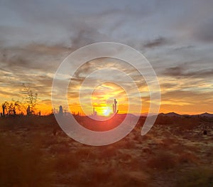 Dusk at Days end in the sonoran preserve