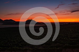 Dusk falling over the vineyards at the Ribera del Duero in Valladolid