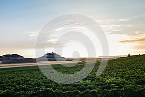 Dusk falling over the vineyards at the Ribera del Duero in Valladolid photo