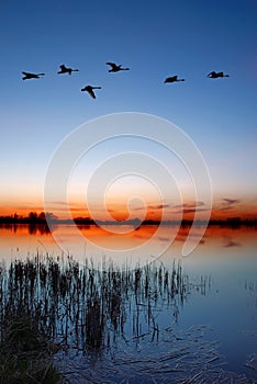 Dusk by the lake