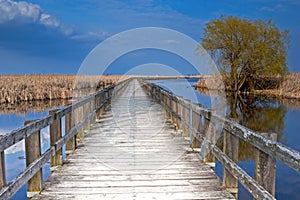 Dusk at the marsh boardwalk at Point Pelee